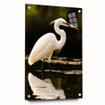 Elegant wall art collection showcasing a side view of heron and egret designs in vibrant colors, mounted on acrylic glass with decorative pins for modern decor.