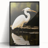 Framed wall art collection showcasing a heron and egret design on acrylic, featuring a sleek black frame, ideal for modern home decor and nature enthusiasts.