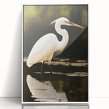 Framed wall art collection showcasing a heron and egret design in vibrant colors, featuring a sleek white frame and acrylic front, perfect for modern decor.