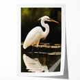 Elegant wall art print showcasing herons and egrets in a serene nature scene, perfect for home decor, emphasizing vibrant colors and intricate details. This beautifully designed piece enhances any living space with its tranquil wildlife theme, ideal for nature enthusiasts.