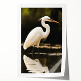 Elegant wall art print showcasing herons and egrets in a serene nature scene, perfect for home decor, emphasizing vibrant colors and intricate details. This beautifully designed piece enhances any living space with its tranquil wildlife theme, ideal for nature enthusiasts.