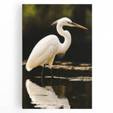 Stretched canvas wall art featuring a serene heron and egret design, showcasing intricate details and soft colors, perfect for nature-inspired home decor.