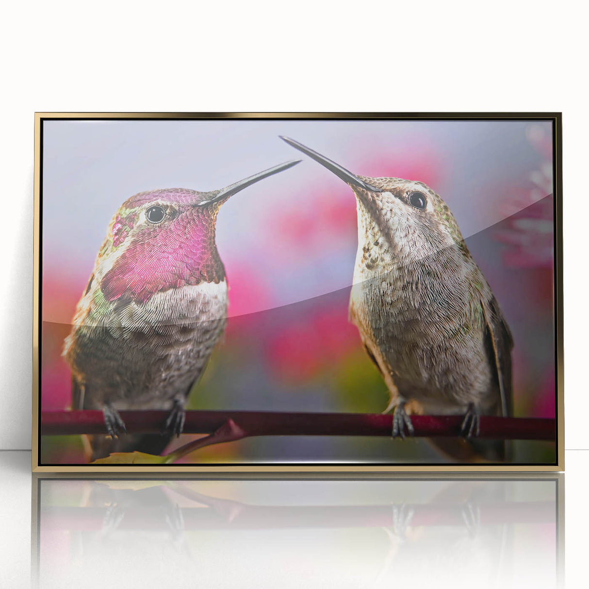 Framed wall art featuring a vibrant hummingbird design in a gold-acrylic frame, showcasing intricate details and vivid colors, perfect for nature-inspired decor.