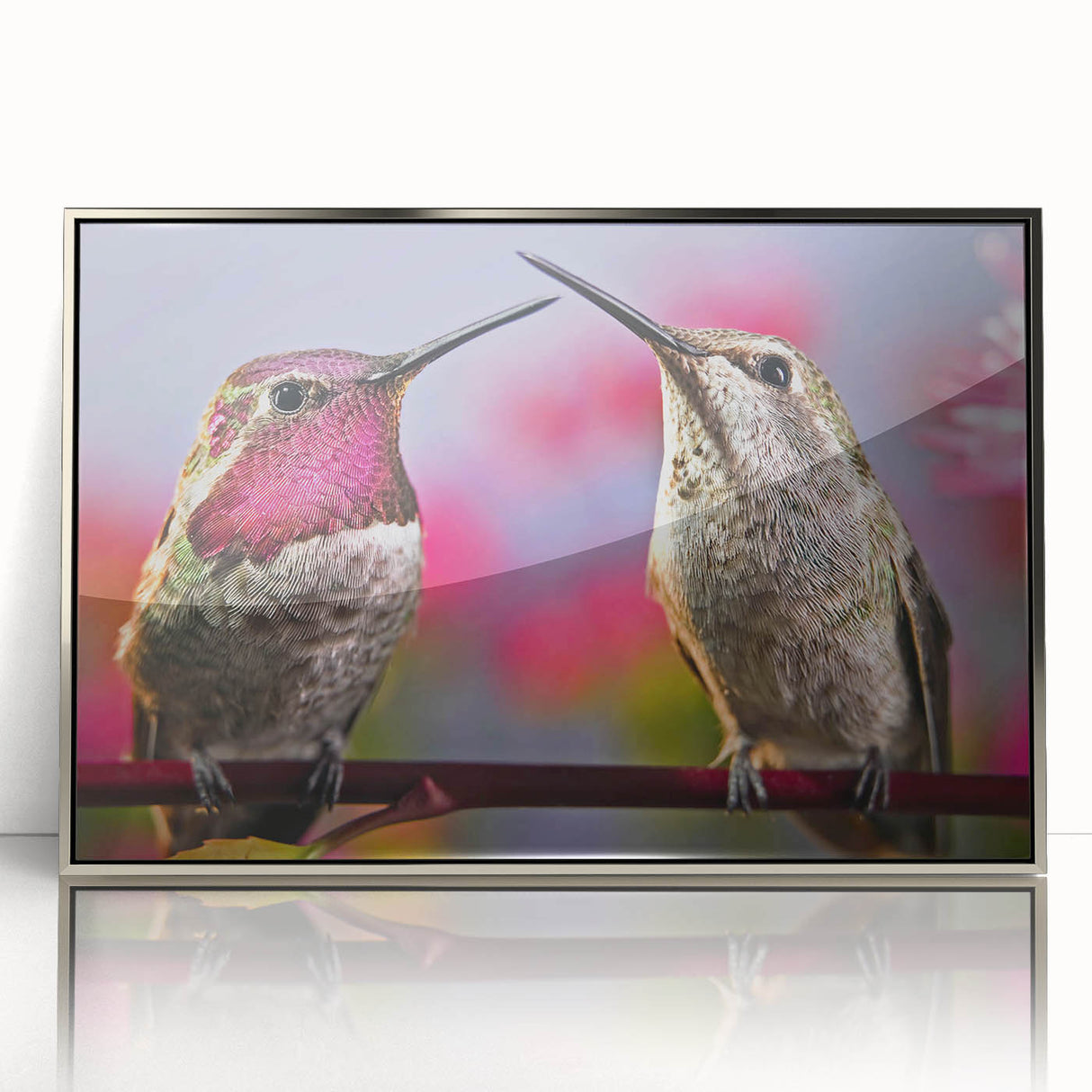Framed wall art featuring a vibrant hummingbird design with silver accents, displayed in a sleek acrylic frame, perfect for enhancing modern interiors.