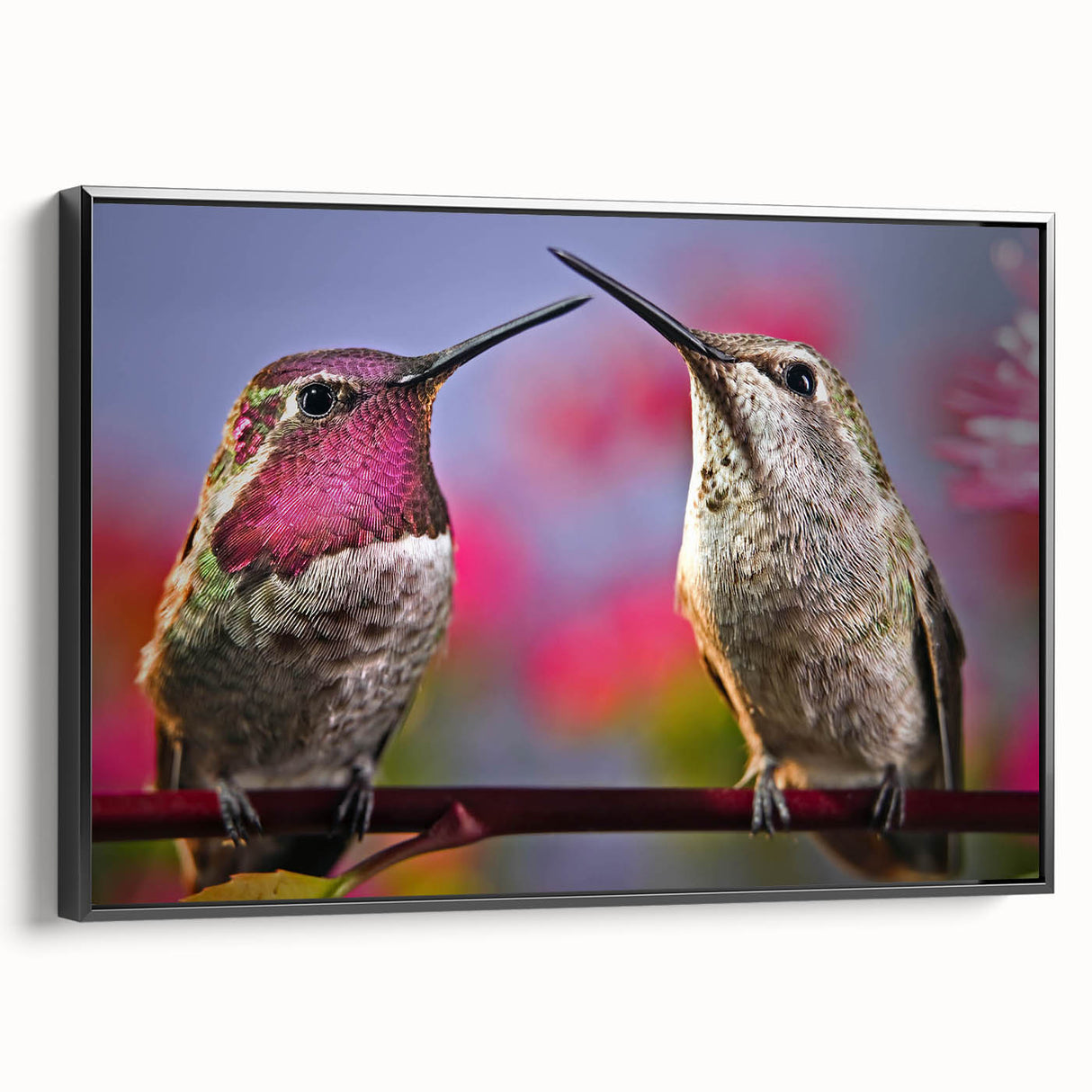 Framed wall art canvas featuring a vibrant hummingbird design with intricate details, set against a sleek black frame, ideal for home decor accentuating nature themes.