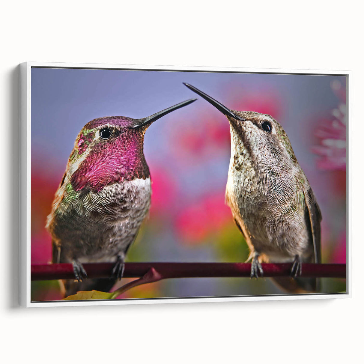 Framed canvas wall art featuring a vibrant hummingbird design in a white frame, showcasing intricate details and colors, ideal for nature-themed decor.