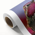 Colorful rolled canvas wall art showcasing a vibrant hummingbird design, perfect for adding a touch of nature to home decor. Packaged securely in a cardboard tube for safe delivery.