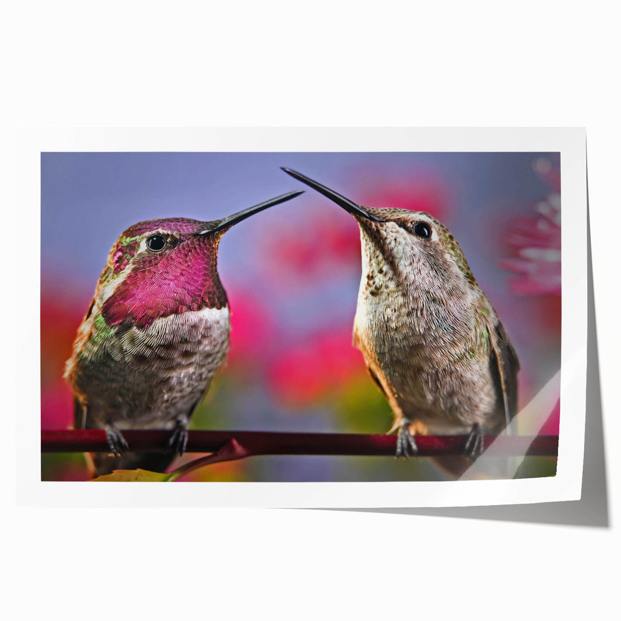Colorful hummingbird wall art print showcasing intricate designs and vibrant hues, ideal for enhancing any living space or office decor. Perfect for nature lovers and art enthusiasts.