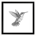 Framed wall art featuring a vibrant hummingbird design, set against a black matte, perfect for adding a pop of color and nature-inspired elegance to home decor. Ideal for bird lovers and art enthusiasts looking to enhance their interior style.