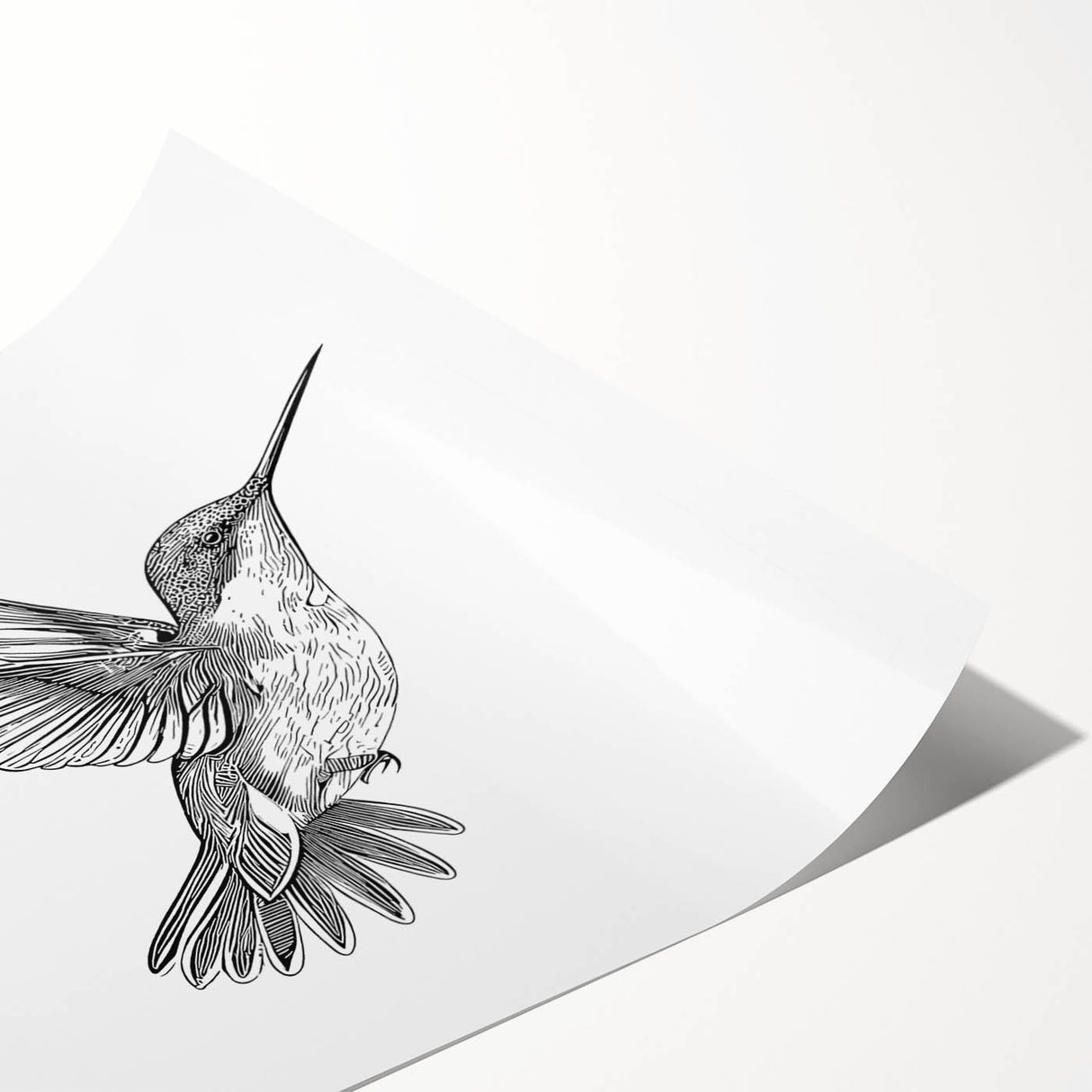 Vibrant rolled print of a hummingbird design in a colorful, artistic style, showcasing intricate details and vivid colors, perfect for home decor.
