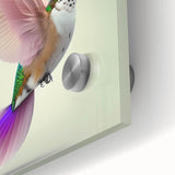 Vibrant close-up of a hummingbird wall art design, showcasing intricate details and vivid colors on acrylic glass, perfect for home decor enthusiasts.