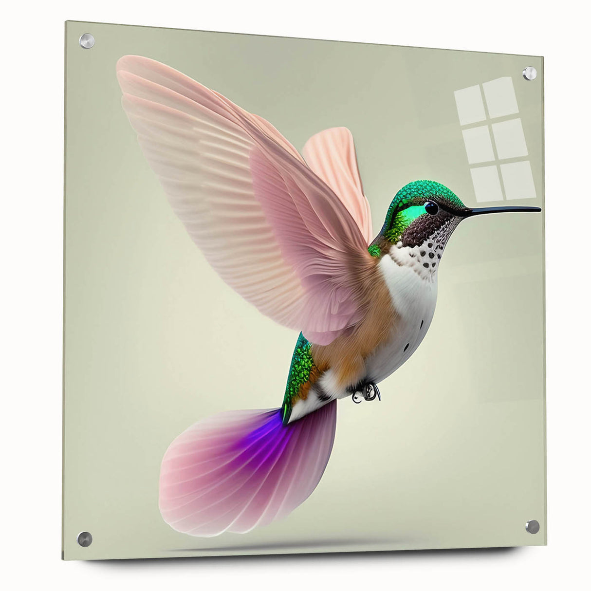 Colorful hummingbird wall art design displayed in a sleek acrylic frame, showcasing vibrant colors and intricate details, ideal for nature enthusiasts and home décor.
