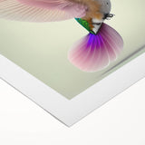 Colorful rolled canvas artwork showcasing a vibrant hummingbird design, ideal for home decor. The piece features intricate details and a lively palette, perfect for nature enthusiasts.