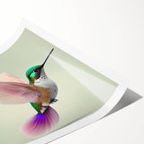 Vibrant hummingbird wall art print showcasing intricate design details, perfect for home decor. Rolled canvas art available for easy framing and display.