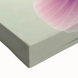 Close-up of a vibrant hummingbird wall art canvas featuring intricate details and vivid colors, ideal for home decor or nature-themed spaces.