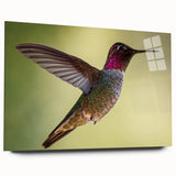 Acrylic wall art design showcasing vibrant hummingbirds in a colorful floral setting, beautifully displayed from a side view without pins, ideal for home decor.