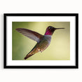 Framed wall art featuring a vibrant hummingbird design in vivid colors, set against a sleek black frame, perfect for adding a touch of nature-inspired elegance to any room.