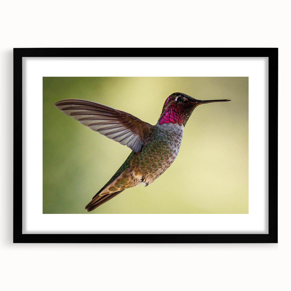 Framed wall art featuring a vibrant hummingbird design in vivid colors, set against a sleek black frame, perfect for adding a touch of nature-inspired elegance to any room.