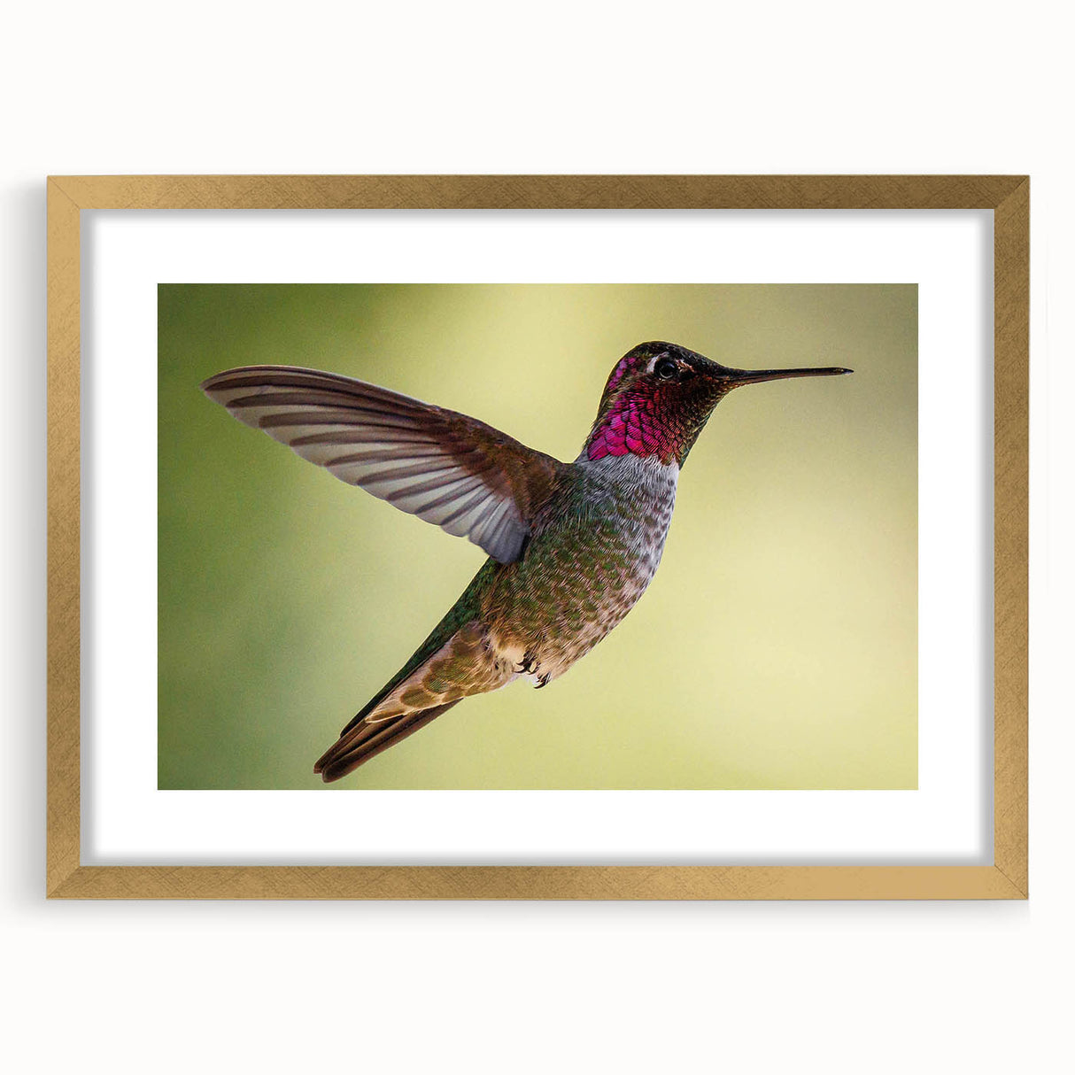 Framed wall art featuring a vibrant hummingbird design, elegantly set in a gold frame with a mat, showcasing intricate details and bright colors perfect for enhancing any decor.