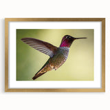 Framed wall art featuring a vibrant hummingbird design, elegantly set in a gold frame with a mat, showcasing intricate details and bright colors perfect for enhancing any decor.