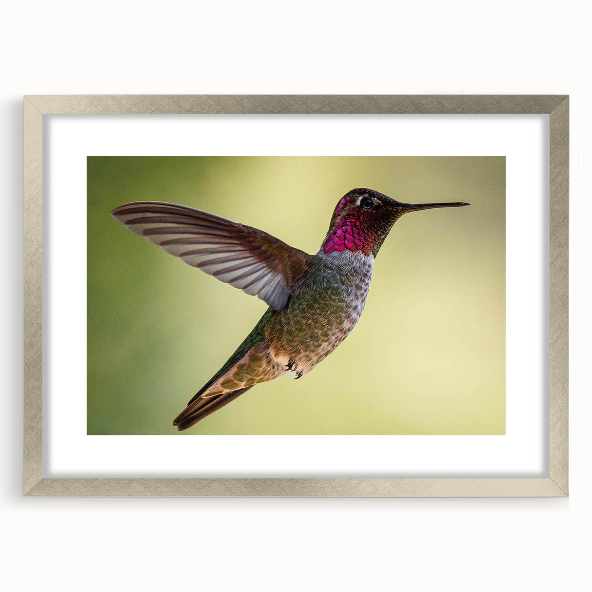 Framed wall art showcasing a vibrant hummingbird design in a silver frame, complete with a mat, perfect for adding a touch of nature-inspired elegance to home decor.