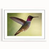 Framed hummingbird wall art showcasing vibrant colors and intricate design, set against a crisp white mat, perfect for enhancing any modern decor.