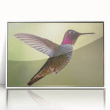 Framed acrylic wall art showcasing a vibrant hummingbird design with intricate details, set against a clean white background, ideal for enhancing modern decor.