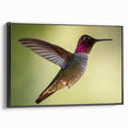 Framed canvas wall art showcasing a vibrant hummingbird design in a sleek black frame, ideal for adding a touch of color and nature to any modern decor.