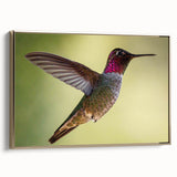 Framed canvas wall art showcasing a vibrant hummingbird design in gold tones, set against a sleek black background, perfect for adding elegance to any room decor.