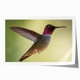 Colorful hummingbird design wall art print showcasing vibrant colors and intricate details, perfect for home decor or nature-themed spaces. Ideal for bird lovers and art enthusiasts.