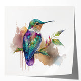 Vibrant hummingbird wall art collection featuring glossy photo prints, showcasing intricate details and vivid colors, perfect for enhancing home decor and nature themes.