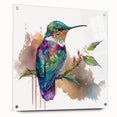 Vibrant hummingbird wall art collection displayed in an acrylic frame, showcasing intricate details and vivid colors, ideal for enhancing any modern decor.