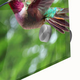 Close-up of a vibrant hummingbird design wall art piece, showcasing intricate details and vivid colors on acrylic glass, perfect for nature lovers' decor.