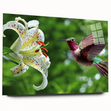 Acrylic wall art showcasing a vibrant hummingbird design, framed in glass, viewed from the side. Perfect for adding a colorful touch to any modern decor.