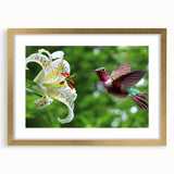 Hummingbird-themed wall art design in a gold frame with matting, showcasing vibrant colors and intricate details, perfect for home decor or gifting.