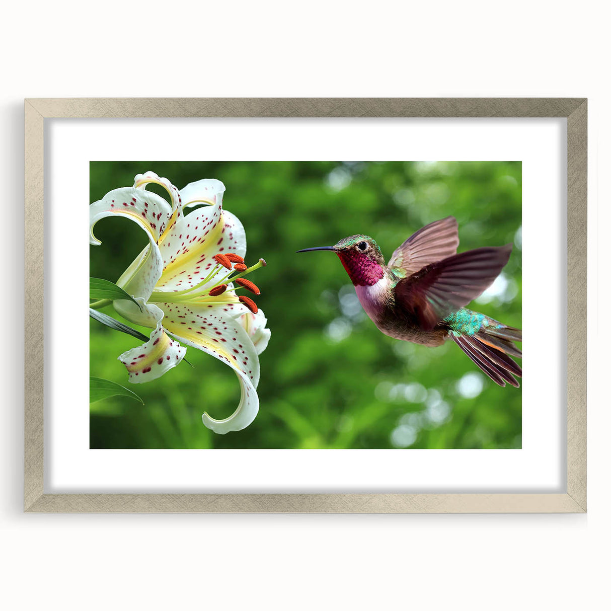 Framed wall art featuring a vibrant hummingbird design in shades of blue and green, set in a sleek silver frame with a white mat, perfect for home decor.