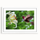Hummingbird-themed wall art framed in white, showcasing vibrant colors and intricate details, perfect for adding a touch of nature-inspired decor to any room.
