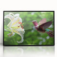 Framed acrylic wall art showcasing a vibrant hummingbird design in black frame, perfect for enhancing home decor with a touch of nature's beauty.