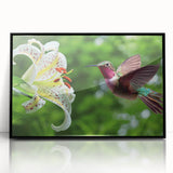 Framed acrylic wall art showcasing a vibrant hummingbird design in black frame, perfect for enhancing home decor with a touch of nature's beauty.