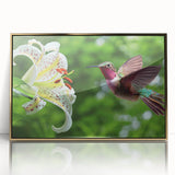 Framed wall art featuring a vibrant hummingbird design with a gold-acrylic finish, ideal for adding a touch of elegance to home decor. Perfect for bird lovers and art enthusiasts.