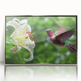 Framed wall art featuring a vibrant hummingbird design in a silver frame, showcasing intricate details and bright colors, ideal for modern home decor.