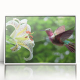 Framed wall art featuring a vibrant hummingbird design in acrylic with a white frame, perfect for adding a touch of nature-inspired decor to any room.