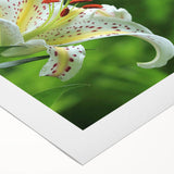 Colorful rolled canvas wall art featuring a vibrant hummingbird design, showcasing intricate details and textures, ideal for home decor and nature enthusiasts.