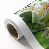 Vibrant rolled canvas featuring a detailed hummingbird design in an artistic composition, showcasing vivid colors and intricate patterns, ideal for home decor.