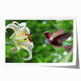 Vibrant hummingbird wall art design featuring intricate details and bright colors, rolled and ready for display in any decor setting, ideal for nature lovers.