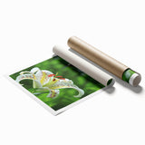 Hummingbird wall art print showcasing vibrant colors and intricate details, rolled and ready for framing, perfect for nature-themed decor lovers.