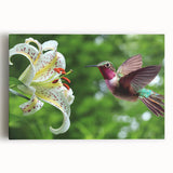 Vibrant hummingbird design stretched canvas wall art in vivid colors, showcasing intricate details and textures, perfect for adding a lively touch to any room decor.