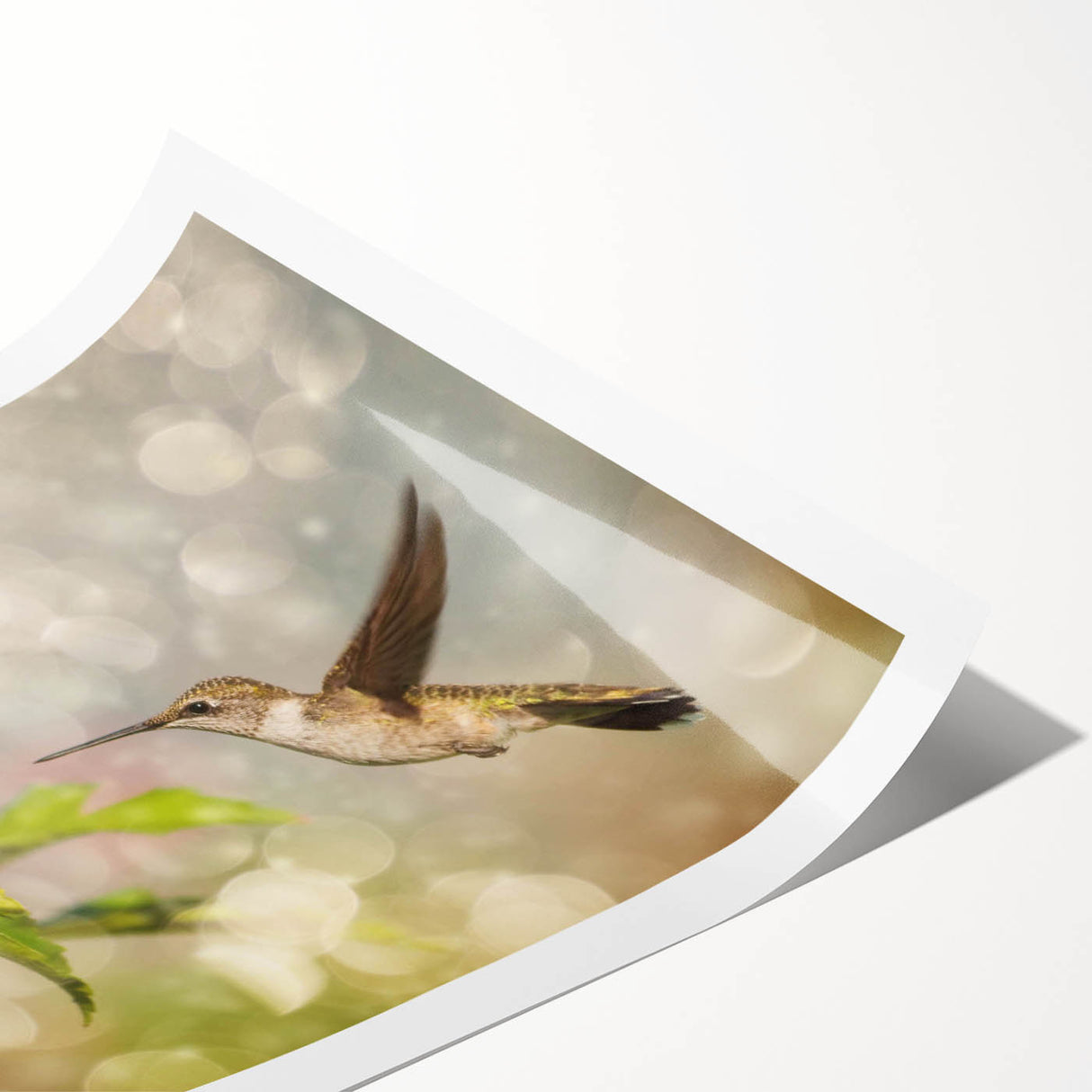 Vibrant hummingbird wall art print showcasing intricate details and vivid colors, rolled and ready for framing, ideal for nature-themed decor.