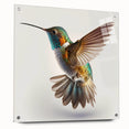 Vibrant wall art featuring a hummingbird design on acrylic glass, showcasing intricate details and colors. Perfect for modern decor, with a side view highlighting its elegant pins.