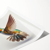 Vibrant hummingbird wall art print showcasing intricate designs with rich colors, rolled for easy shipping and display, perfect for nature enthusiasts.